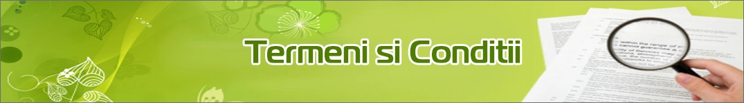 Termeni și condiții pentru Trimiterea Florilor în Slovenia