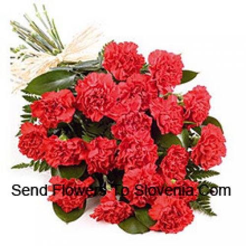 Pretty 25 Red Carnations