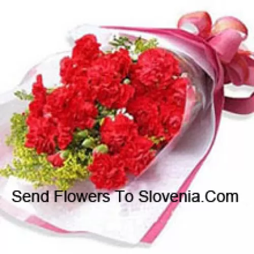 Bunch Of 19 Beautifully Wrapped Carnations