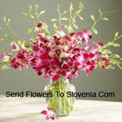 Pleasing Orchids in Vase