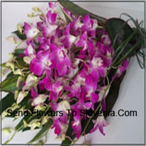 Cute Orchids Bunch