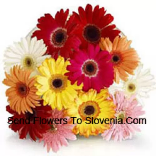 Bunch Of 11 Assorted Colored Gerberas