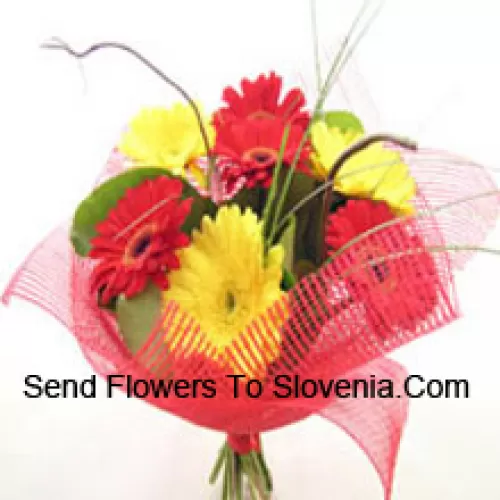 Bunch Of 11 Mixed Colored Gerberas