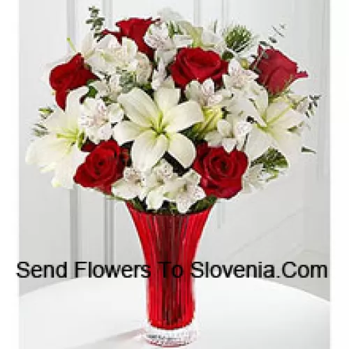 This Bouquet?is a gorgeous expression of yuletide joy and elegance. Red roses pop against a background of white Asiatic lilies and Peruvian lilies lovingly arranged in a red designer glass vase to create a bouquet of seasonal celebration. (Please Note That We Reserve The Right To Substitute Any Product With A Suitable Product Of Equal Value In Case Of Non-Availability Of A Certain Product)