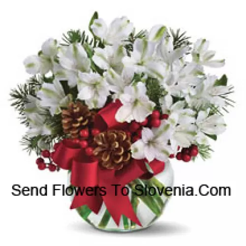 Share the magic of a white Christmas with this cheery bouquet of snowy white alstroemeria blossoms arranged in vase with festive holiday trim. (Please Note That We Reserve The Right To Substitute Any Product With A Suitable Product Of Equal Value In Case Of Non-Availability Of A Certain Product)